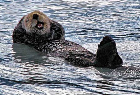 Image: Seward Resort